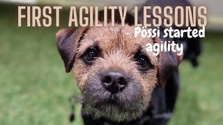 First Agility Lessons - Pössi started agility | Border Terrier 12 months