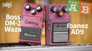 TPS AB Comparisons – Boss DM-2w & Ibanez AD9 Analog Delay