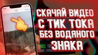 Как скачать видео с Tik Tok без водяного знака?