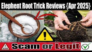 Elephant Root Trick for Men: Legit Or Scam? Honest Review | Scam Expert