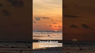 #философияжизни #природа #личность #кино #продлениежизни #море #социальнаяпсихология #самопознание