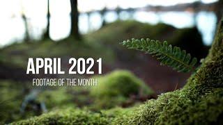 APRIL 2021 | Footage of the Month