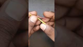 How to get multicolor flowers on portulaca plants _  grafting technique #shorts #short #shortvideo