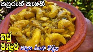 කජු කනවා වගේ ලේසියෙන්ම රසට කජු මාලූවක් උයමු/ Cashew nuts curry/ Cashew recipes / kaju malu