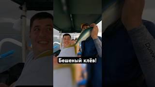 ВОТ ЭТО РЫБАЛКА! ЭТОТ ЖОР НЕ ОСТАНОВИТЬ! #тревелвлог #travel #рыбалка