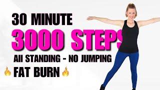 30 Min FAT BURN WORKOUT  3000 Steps  Full Body  All Standing - No Jumping - Low Impact Cardio