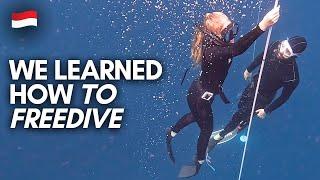 Freediving Adventure in Amed, Bali | We Learned How do it!  (With No Experience)