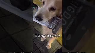 이맛에 퇴근이 즐겁죠 반려인 반려견 행복한 저녁 스토리 3편