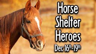 Horse Shelter Heroes | Dec 16-19, 2024