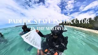 I did the Padi IDC Staff Instructor course || Here's what you should know