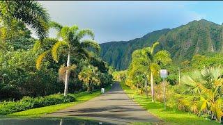 Hoomaluhia Botanical Garden | Oahu Hawaii | Instagrammable Spot 