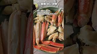 경북 영덕 대게 여행 #여행 #여행기 #경북영덕 #영덕여행 #영덕가볼만한곳