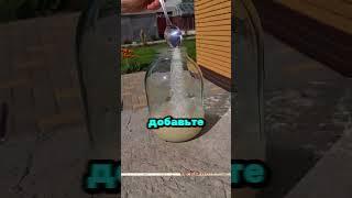 Лучшая подкормка для всех овощей #сад #огород #дача #рассада #урожай #подкормка #овощи