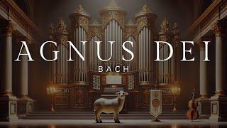 Bach: "Agnus Dei" (Mass in B minor, BWV 232)