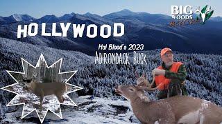 HOLLYWOOD: Hal Blood's 2023 ADIRONDACK BUCK Tracked Down on Snow | Big Woods Hunting in Adirondacks