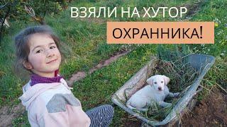 4.  Из Германии на сицилийский хутор! Взяли охранника!