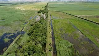 Ammiq Wetlands in west bekaa. @lebanon @tourists