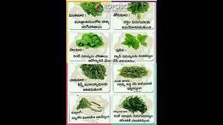 Health Tip 306 Leafy Vegetables Benefits ఆకుకూరల్లోని పోషకాలు #shorts #vegetables #telugu #health