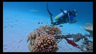 Moofushi - House Reef