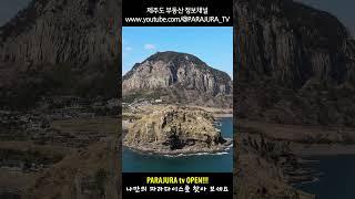 제주도 서남쪽 산방산의 비경을 품은 농가주택