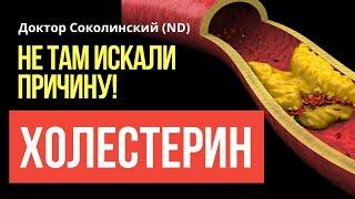 Почему повышен ХОЛЕСТЕРИН: не там искали причину, не с того начали Лечение!