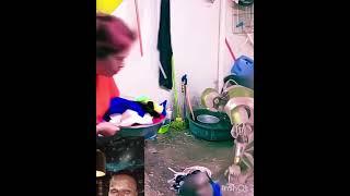 #reels #reel #funnyvideos #funny#viralvideo#viralshorts#tiktok #fyp #fypyoutube #shortvideo