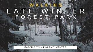 Walk in Finnish Late Winter Nature Trail, March 2024, Vantaa [4K] #slowtv