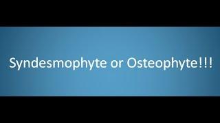 Syndesmophyte or Osteophyte!!!