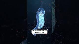 Единственная причина, из-за которой ВЫ ПЕРЕЕДАЕТЕ! #здоровье #питание #переедание