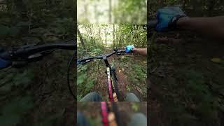 MTB Downhill, mtb India, Indian mtb #mtbaction cradiac storm, cardiac storm cycle, cradiac storm 29t