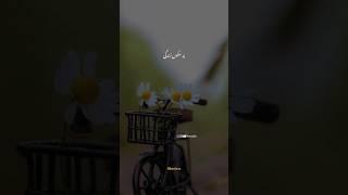 pur sakoon zindagi ️ #islamicvideos #explorar #islamicreels #reelvideo #sibesticsx