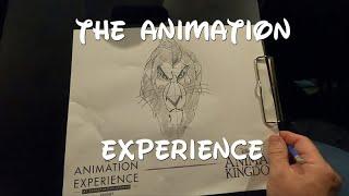 The Animation Experience