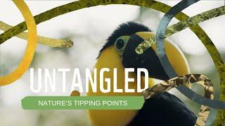 Untangled: Nature's Tipping Points