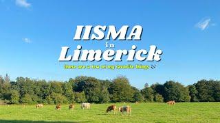 IISMA at University of Limerick, Ireland (My 5 Favorite Things about UL) 