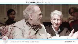 #5 — Part 4: Discover the Conscious Brain with Psychobiologist & originator of GWT, Bernard Baars