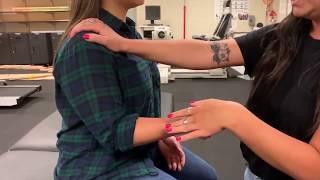 Manual Muscle Assessment: Shoulder Internal Rotators (Subscapularis & Teres Major)