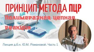 Принцип метода ПЦР (полимеразная цепная рекация), часть 1 (д.б.н. Ю.М. Романова)