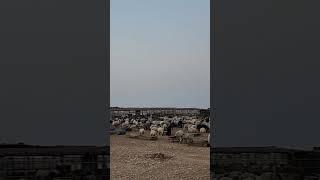 goat farm #ytshorts #qatar