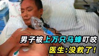 男子被上万只马蜂叮咬，浑身都是针眼，医生：没救了