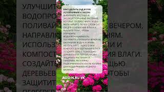 Как сделать сад более устойчивым к засухе