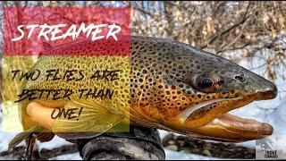 Streamer Fly Fishing for Trout: Two flies are better than one!