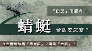 蜻蜓，台語安怎寫？/【台語誶誶唸】第２９集