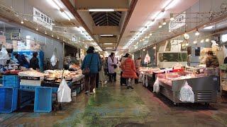 【大阪】青空市場～国華園 Aozora Market - Kokka-en (Osaka, Japan) (2024)