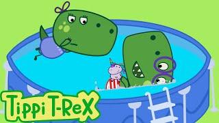 In the Swimming Pool like a Megalodon AND MORE EPISODES OF TIPPI T-REX