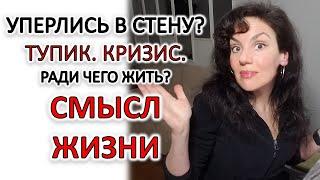 КАК ЖИТЬ ЖИЗНЬ, ЧТОБЫ БЫТЬ СЧАСТЛИВЫМ? В ЧЕМ СМЫСЛ ЖИЗНИ?