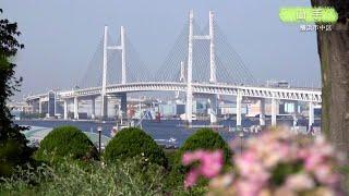 tvk公式「神奈川の風景」横浜編(港の見える丘公園～三溪園)