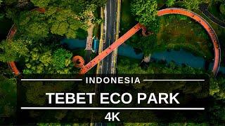 Tebet Eco Park - Indonesia - by Drone [4K]