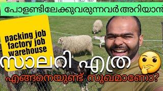 പോളണ്ടിലേക്കു unskilled jobnu വരുന്നവർ യഥാർത്യം അറിയുക |poland jobs|unskilled jobs |factory jobs