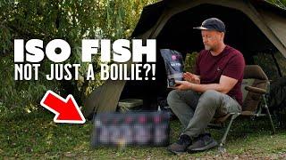 ISO FISH - Not just a boilie! Carp Fishing Baits In Detail | Mainline Baits