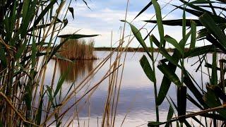 Neusiedler See Seewinkel National Park - Austria